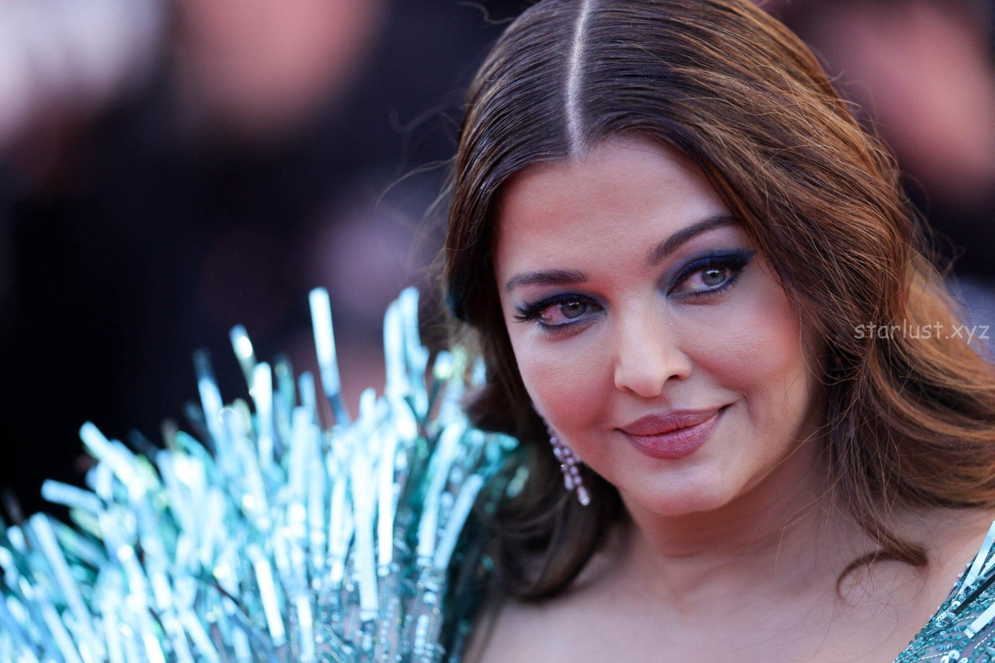 Aishwarya rai glam pics from cannes 2025 with sindhoor (12)