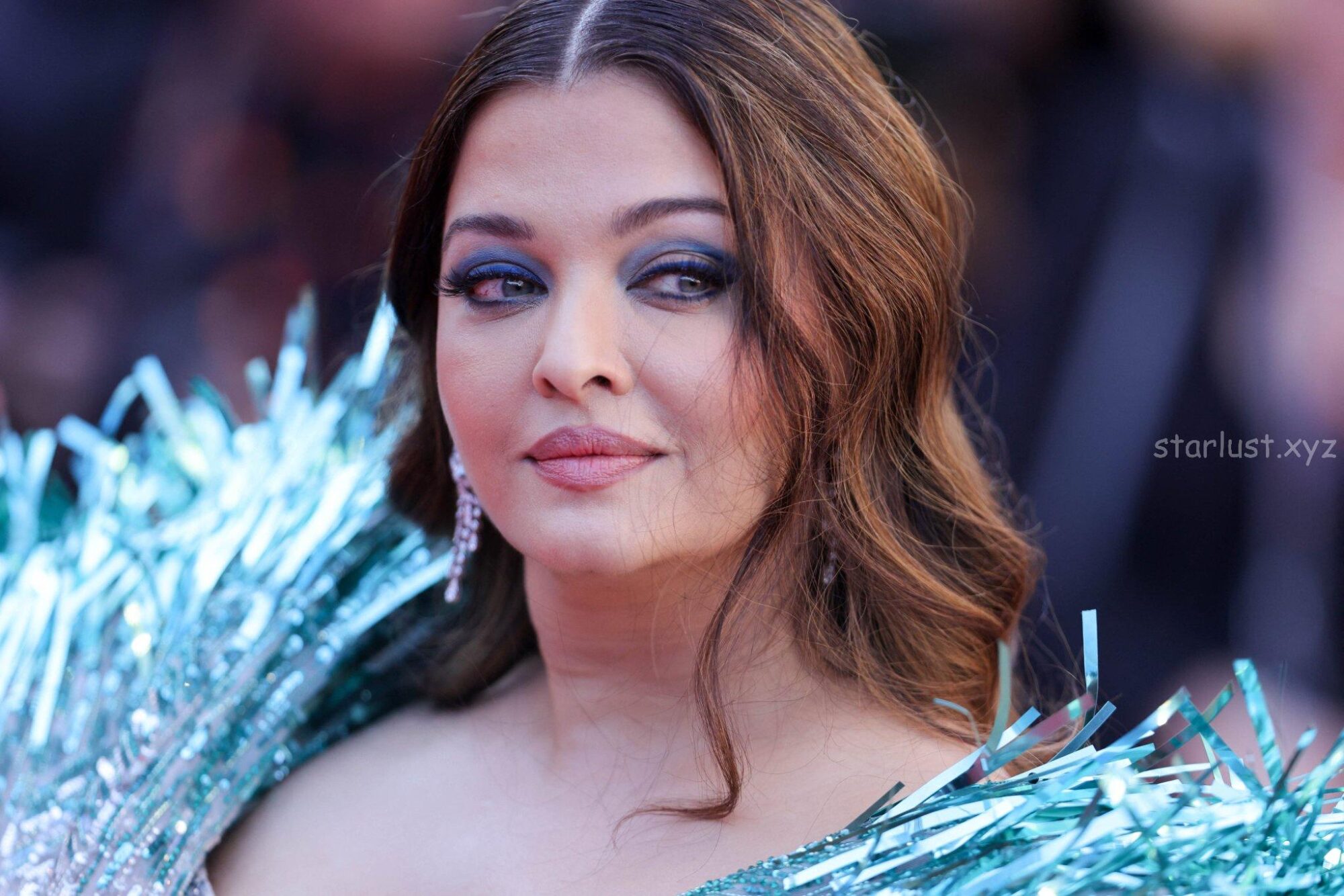 Aishwarya rai glam pics from cannes 2025 with sindhoor (13)