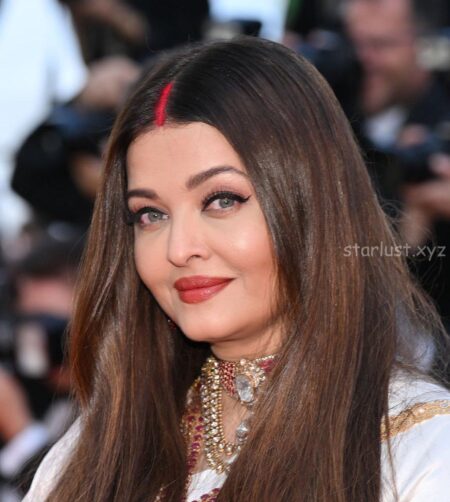 Aishwarya rai glam pics from cannes 2025 with sindhoor (40)