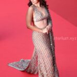 Alia bhat at cannes 2025 day 2 HD images (22)