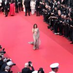 Alia bhat at cannes 2025 day 2 HD images (23)