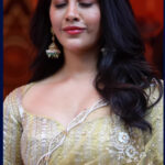 SLUTTY_NABHA_NATESH_STUNNING_WIFE_MATERIAL_CUTE_CLEAVAGE_TEASE