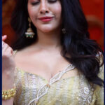 SLUTTY_NABHA_NATESH_STUNNING_WIFE_MATERIAL_CUTE_CLEAVAGE_TEASE (2)