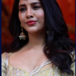 SLUTTY_NABHA_NATESH_STUNNING_WIFE_MATERIAL_CUTE_CLEAVAGE_TEASE (4)