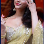 SLUTTY_NABHA_NATESH_STUNNING_WIFE_MATERIAL_CUTE_CLEAVAGE_TEASE (8)